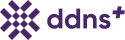 DDNS+