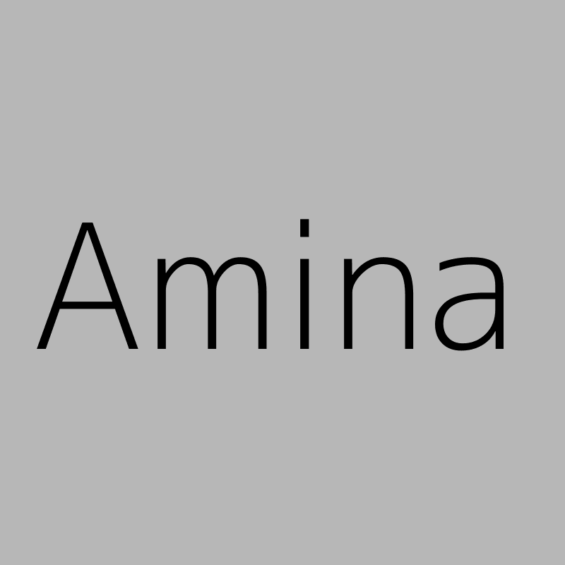 Jamal Amina