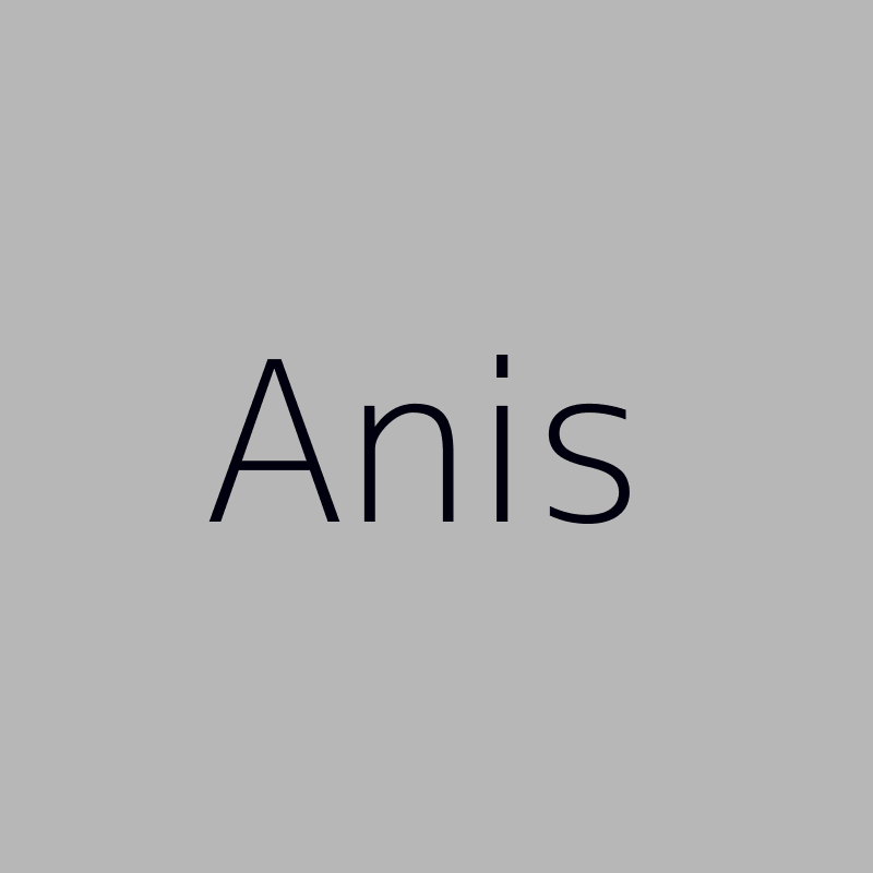 Anis BENHLAL 