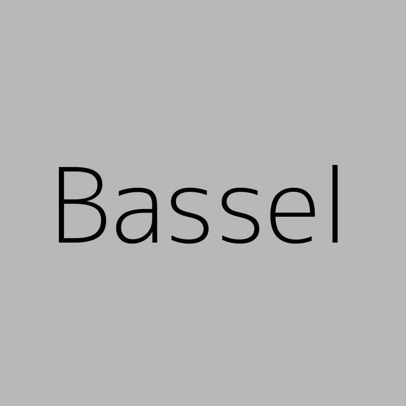 Bassel Mneimneh