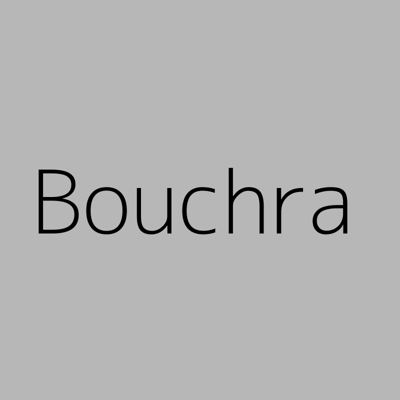 Bouchra EL AOUMARI