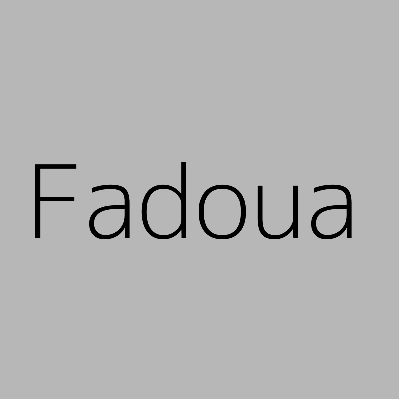 Fadoua DAMIRI