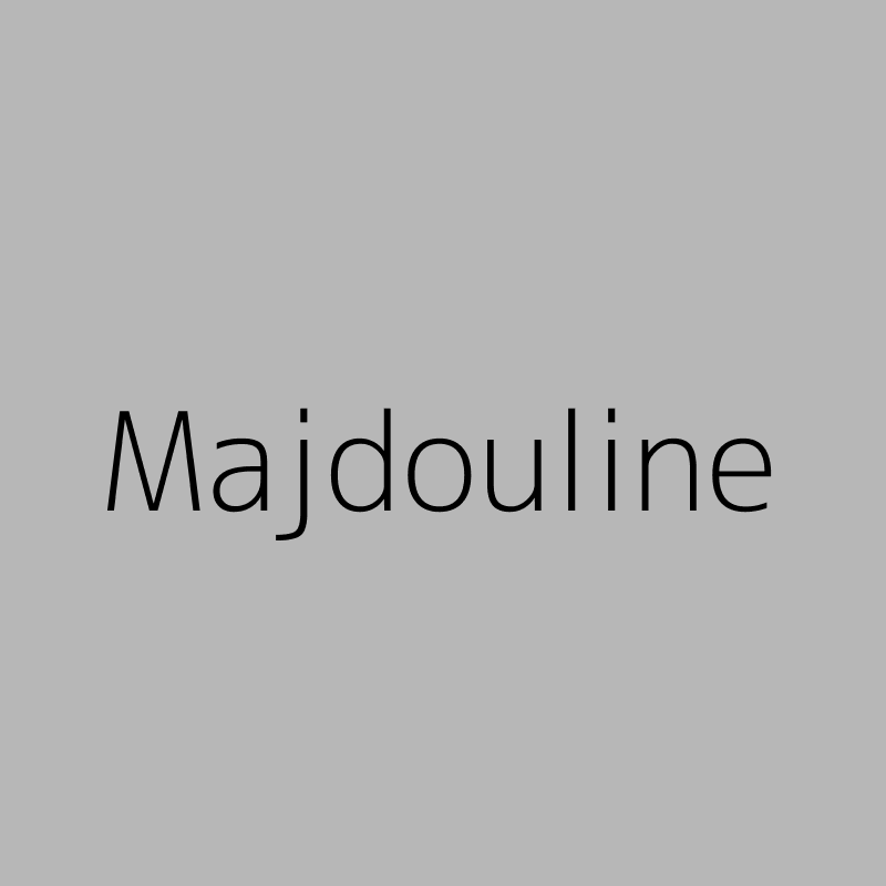 Fouzi Majdouline