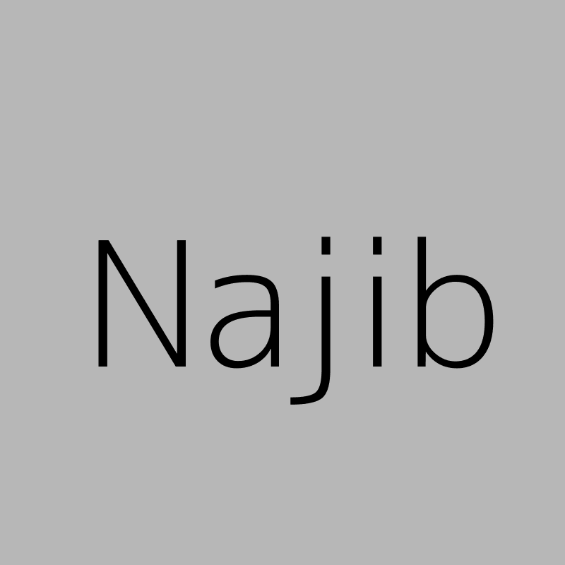 RHAITOUMI Najib