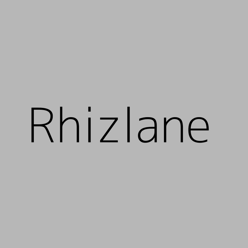 BOUKTEB  Rhizlane
